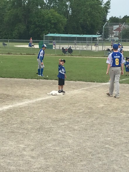 fin baseball first base